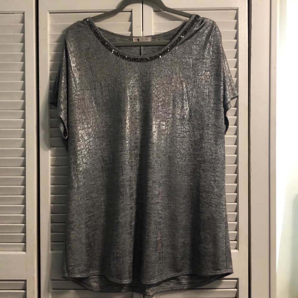 Metallic Blouse with Embellished Collar